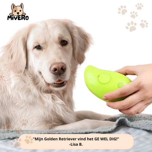 SteamBrush - Beschermt je hond tegen vlooien/parasieten!