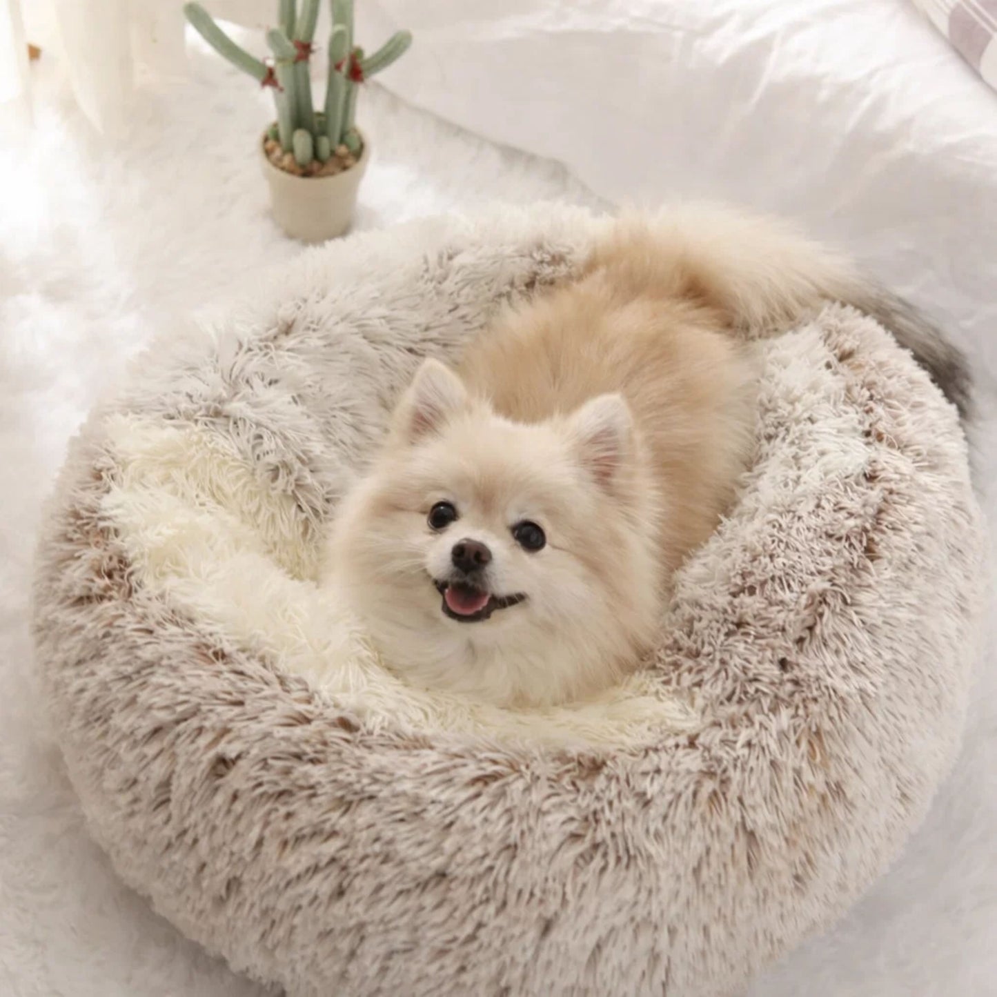 cozycave - knusse huisdierenmand