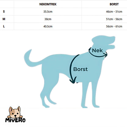 DunkinDog - Maak jouw hond een ster!