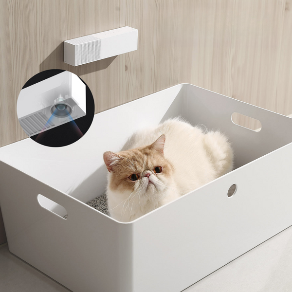 Product placeholder