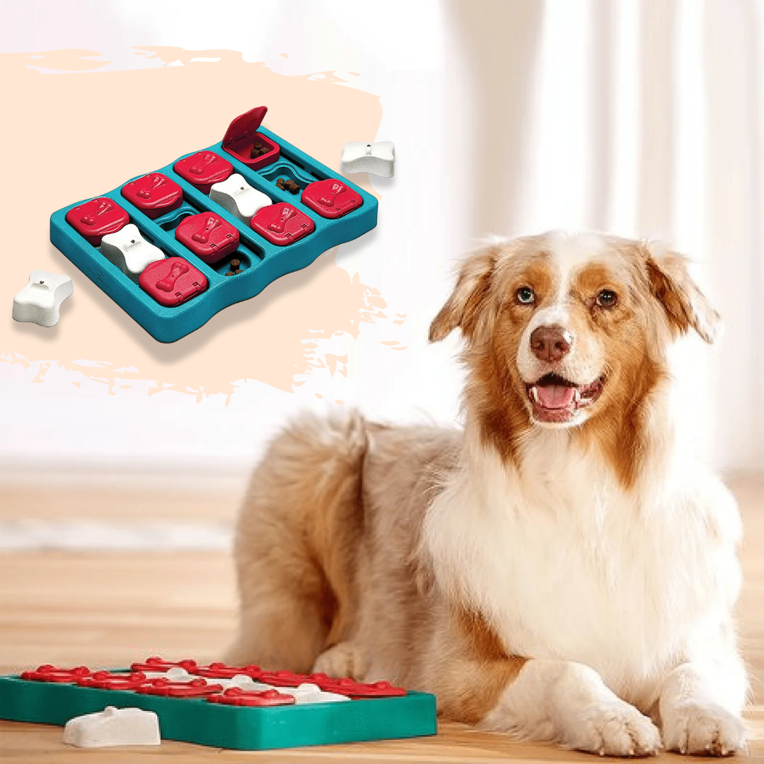 PawzzlePup -  Interactieve Traktatiepuzzel Hond