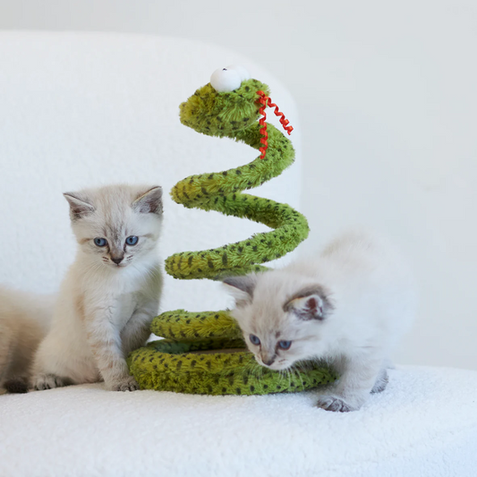 Pouncey - Interactief Slang Kattenspeelgoed