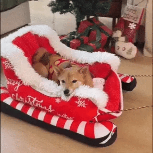 SnoozeSleigh - Fluwelen Kerst Hondenbed