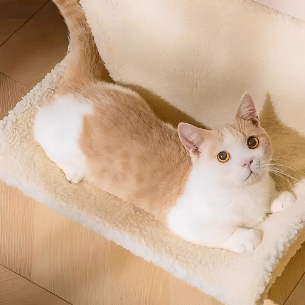 Snugloft -  Hangende Verhoogde Kattenhangmat