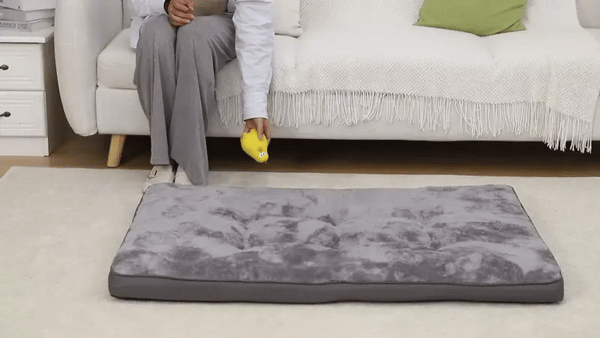 WanderBed - Opvouwbaar Antislip Huisdierenbed