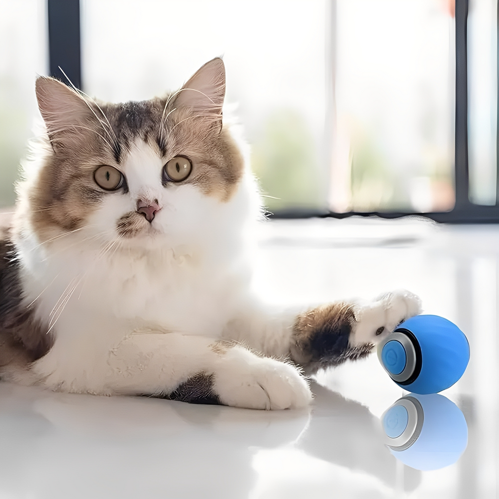 Zoomball 2.0 - Houdt katten actief en speels