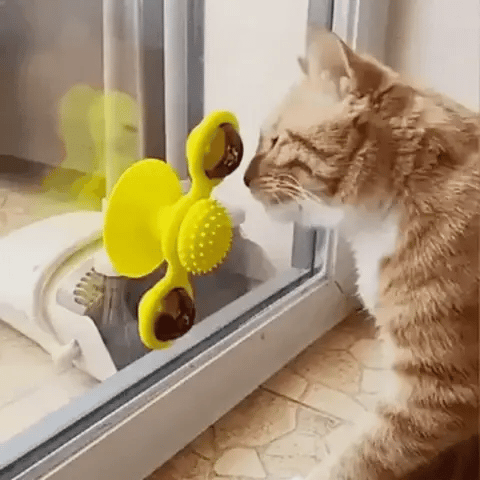 SpinPurr - Interactief Spinning Kattenspeeltje