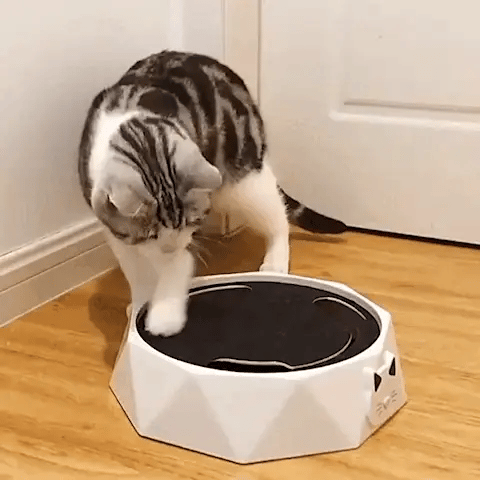PurrChase - Interactieve Beweeglijke Kattenspeelgoed