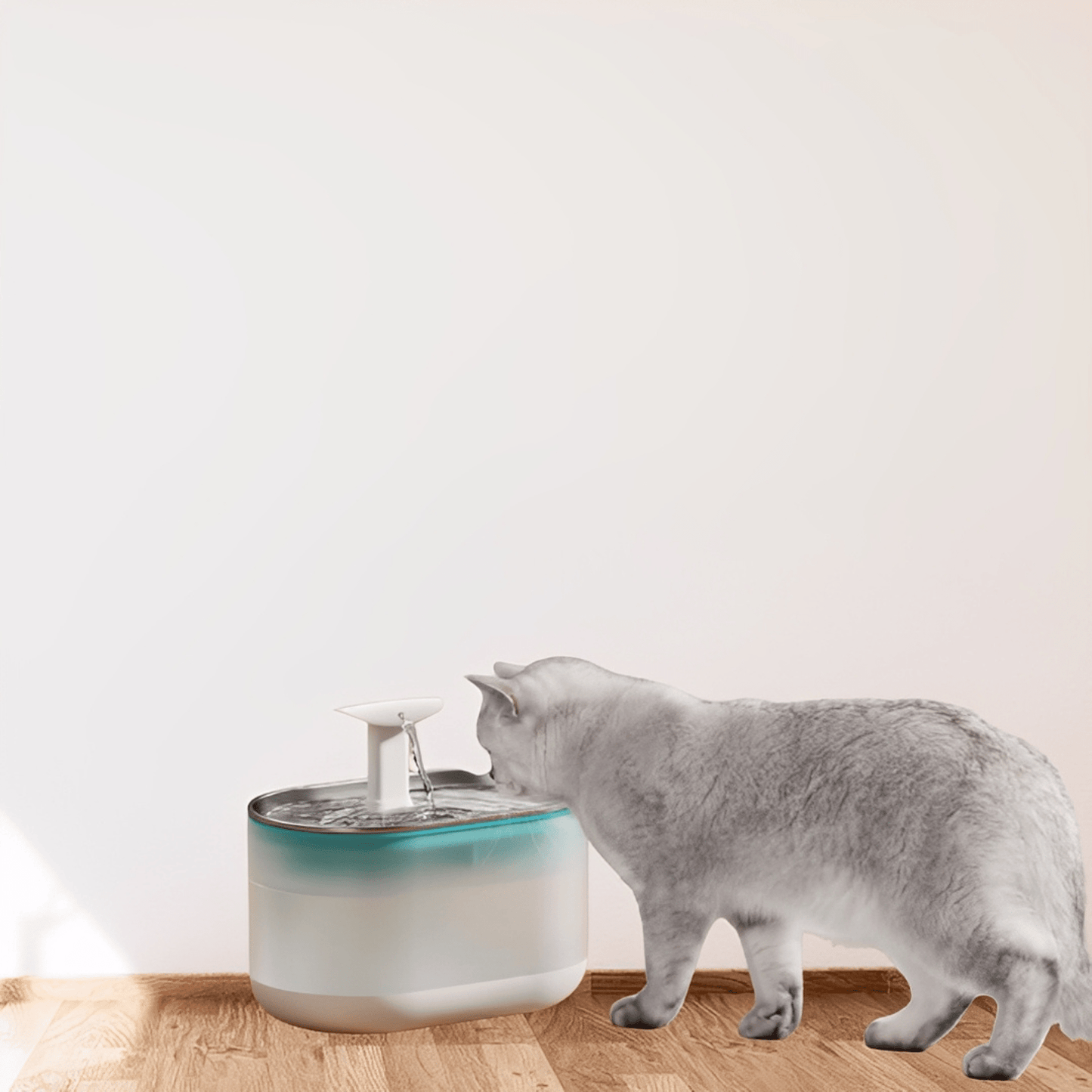 aquaflow - bescherm je kat tegen gevaarlijke bacteriën! - mivero