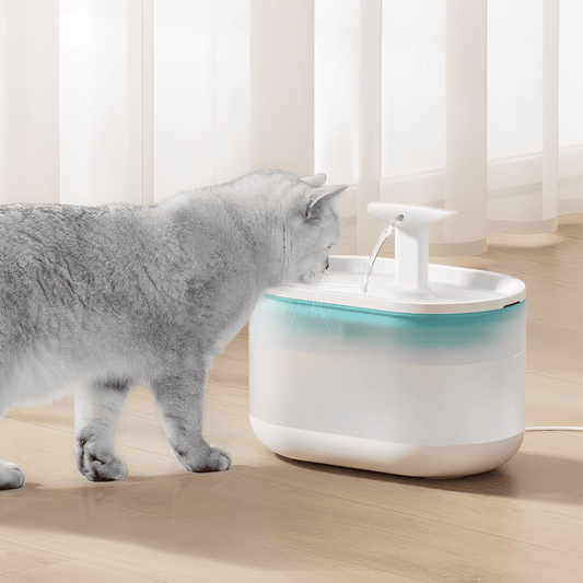 AquaFlow - Bescherm je Kat Tegen Gevaarlijke Bacteriën! - Mivero