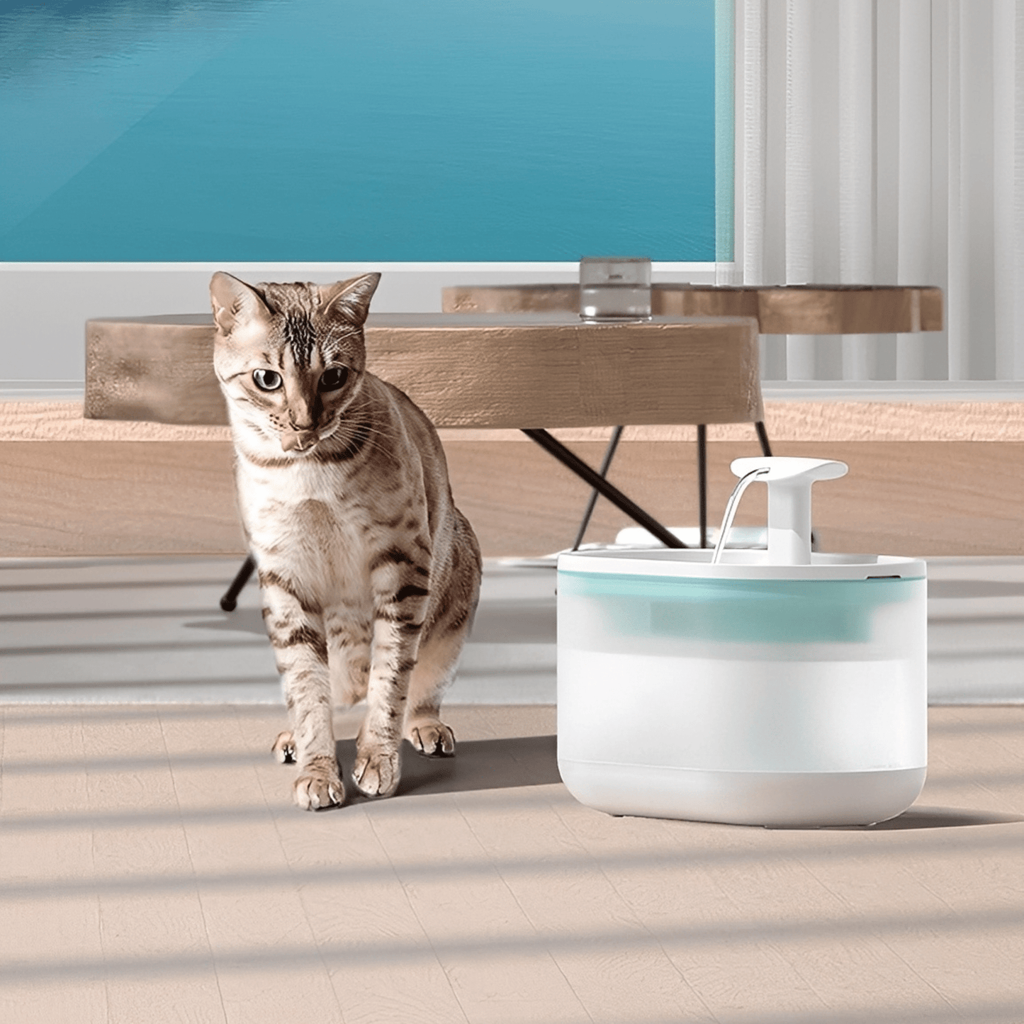 aquaflow - bescherm je kat tegen gevaarlijke bacteriën! - mivero