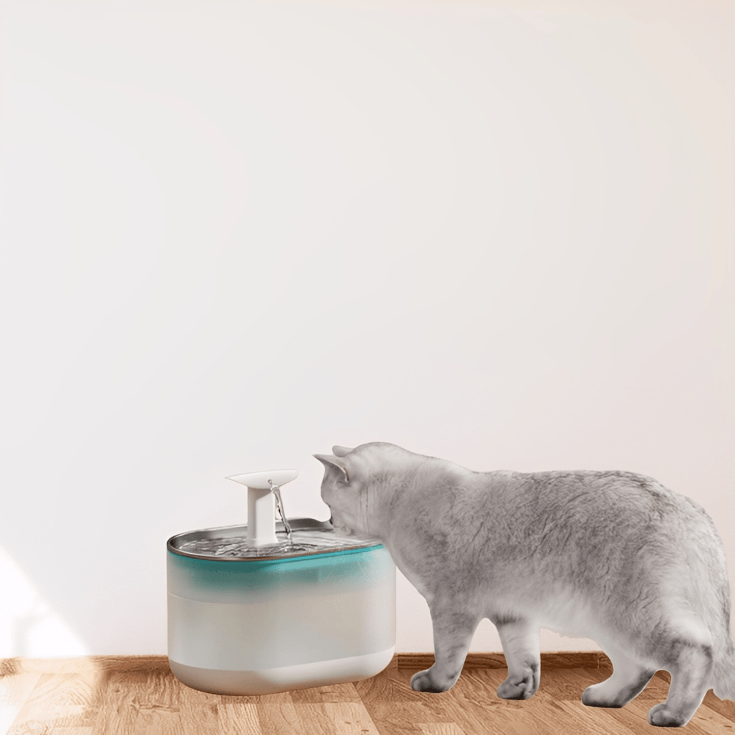 aquaflow - bescherm je kat tegen gevaarlijke bacteriën! - mivero