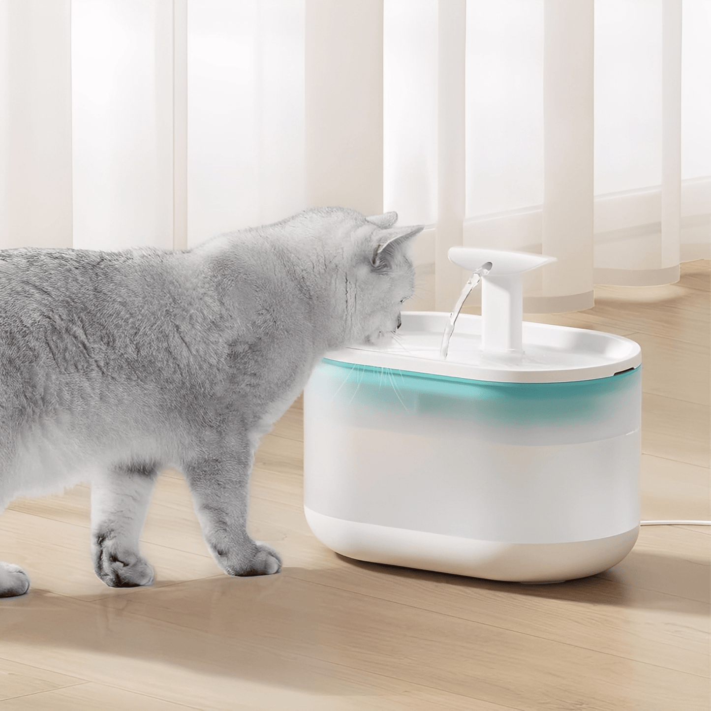 aquaflow - bescherm je kat tegen gevaarlijke bacteriën! - mivero