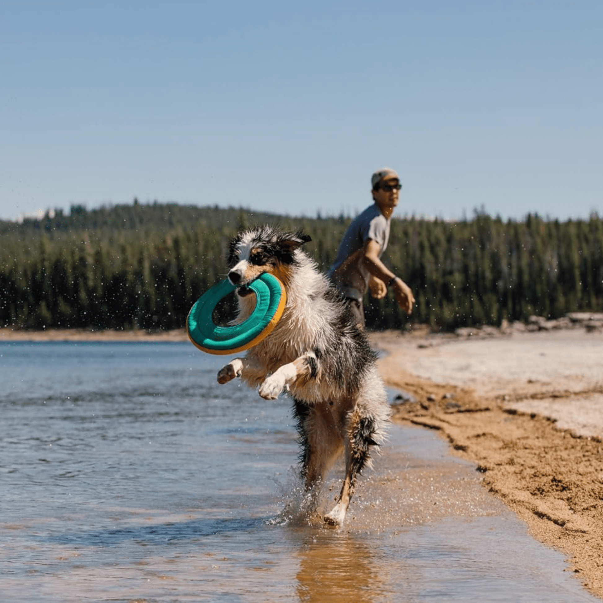Aqualoft - Drijvend Zacht Hondenspeeltje - Mivero