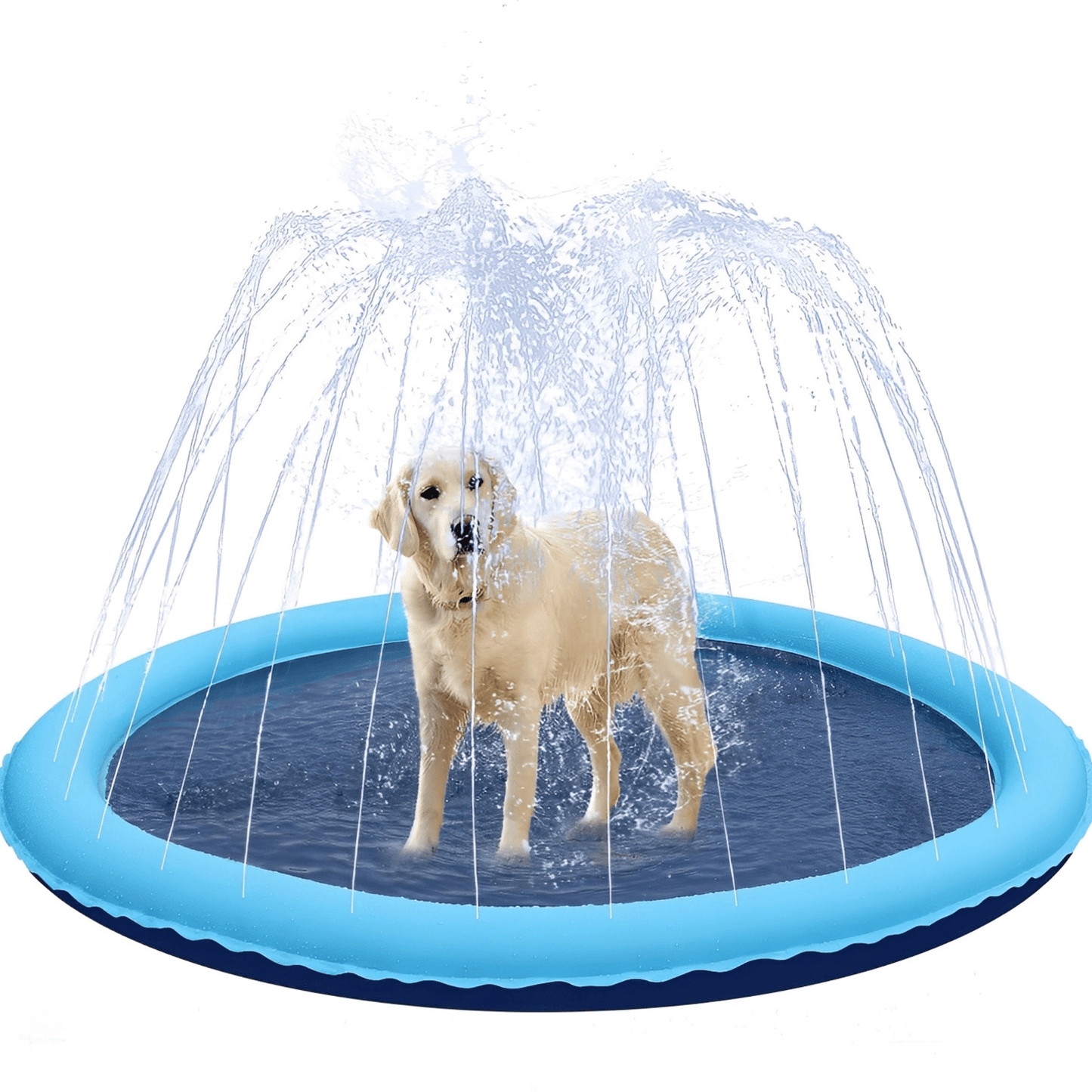 aquapaws - verfrissend speelplezier voor elke hond! - mivero