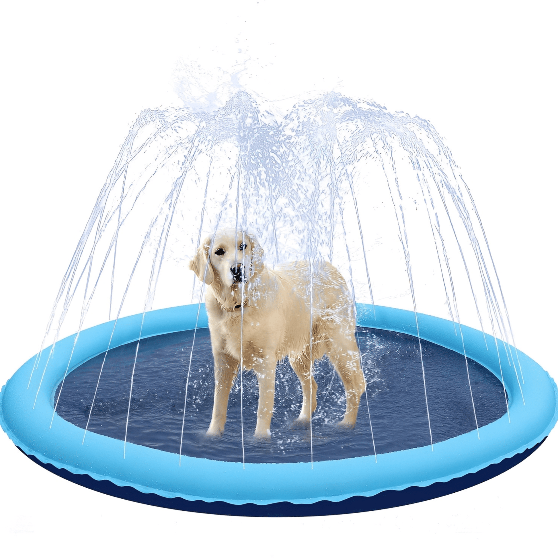 AquaPaws - Verfrissend speelplezier voor elke hond! - Mivero