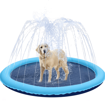 AquaPaws - Verfrissend speelplezier voor elke hond! - Mivero