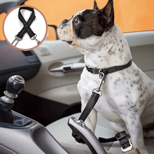 AutoPaw - Elastische Verstelbare autogordel voor Hond - Mivero