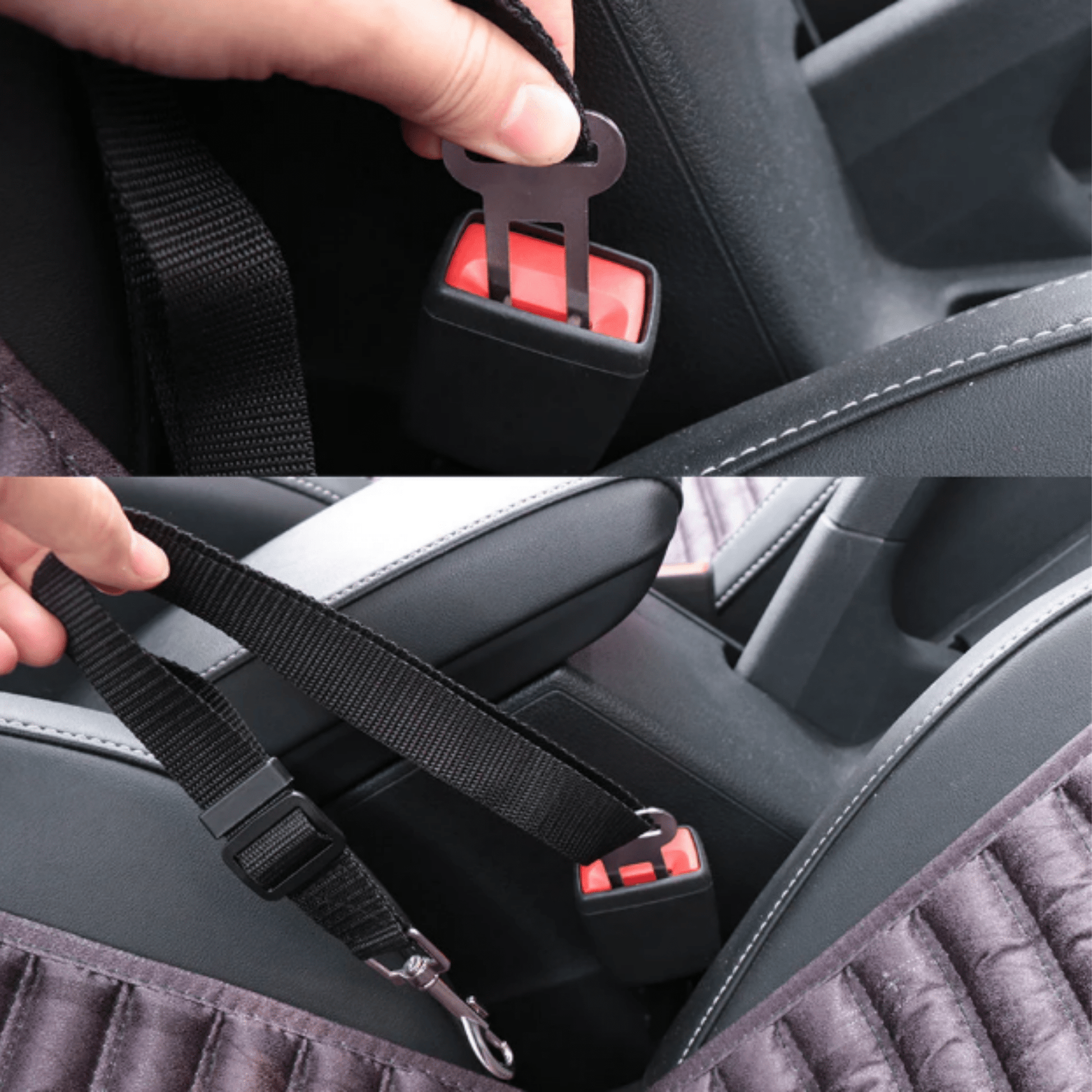 AutoPaw - Elastische Verstelbare autogordel voor Hond - Mivero