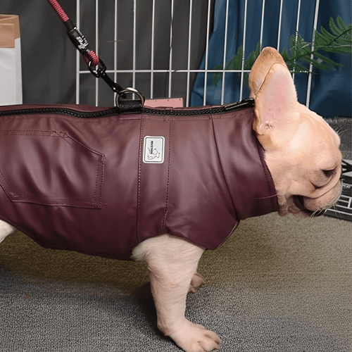 BarkCoat - Waterdichte Ademende Hondenjas - Mivero