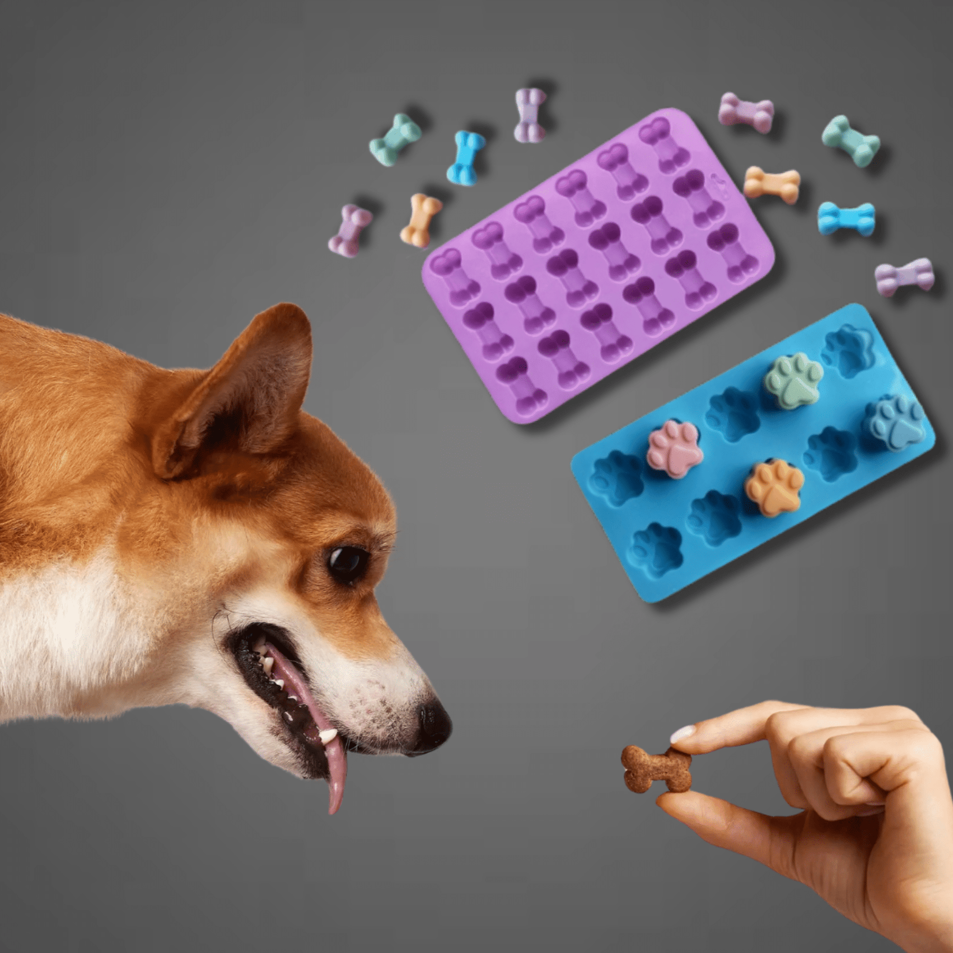 Barkery - Zelfgemaakte Hondenkoekjes Kit - Mivero