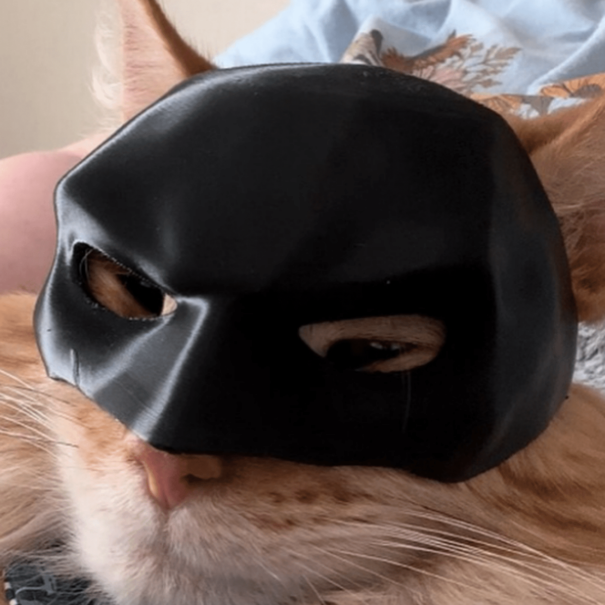 Batmeow - 3D - Geprint Superhelden Kattenmasker - Mivero