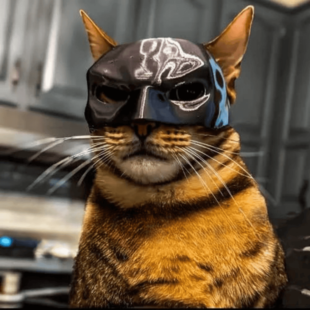 Batmeow - 3D - Geprint Superhelden Kattenmasker - Mivero