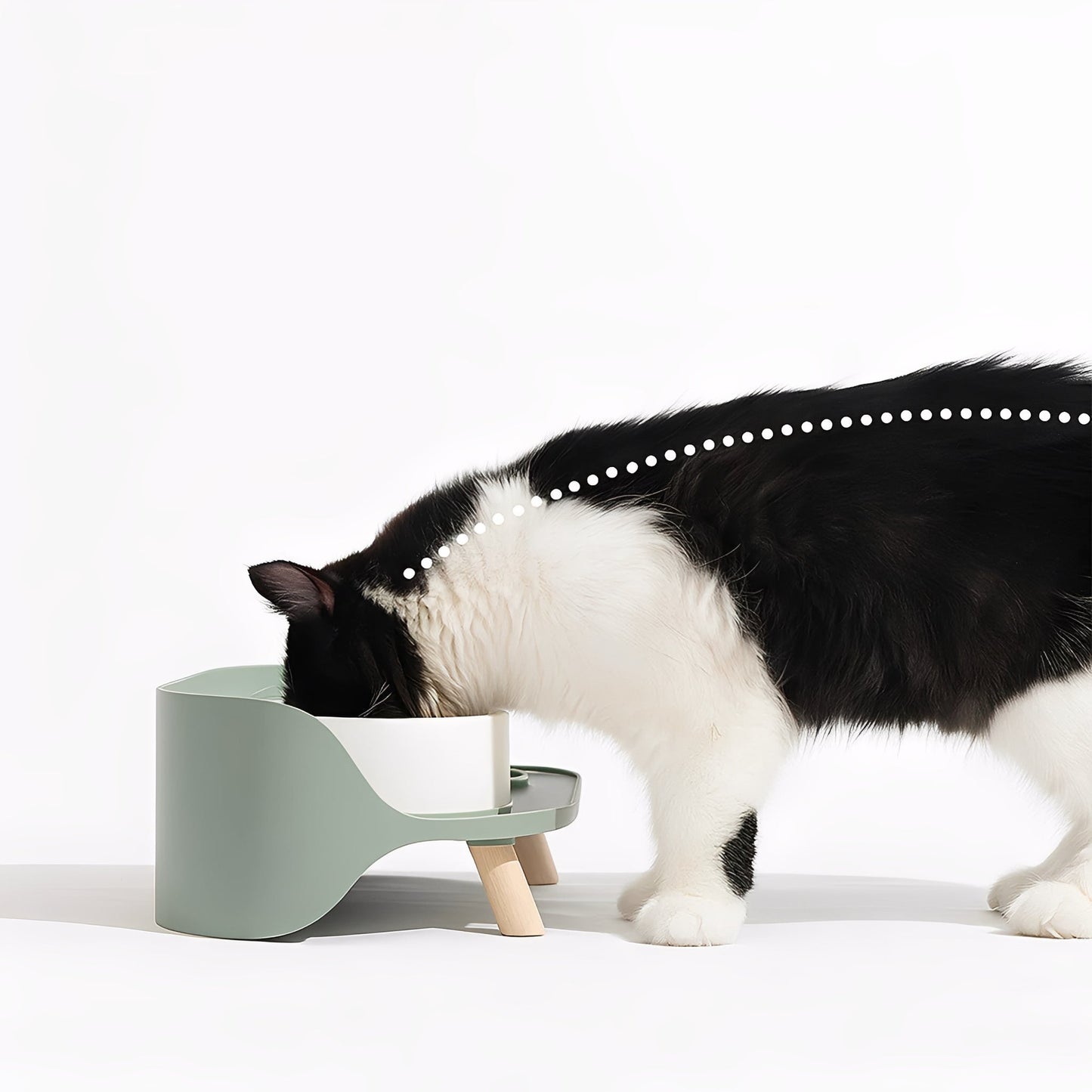 bowlhaven - katten dubbele voerbak keramiek verhoogd - mivero