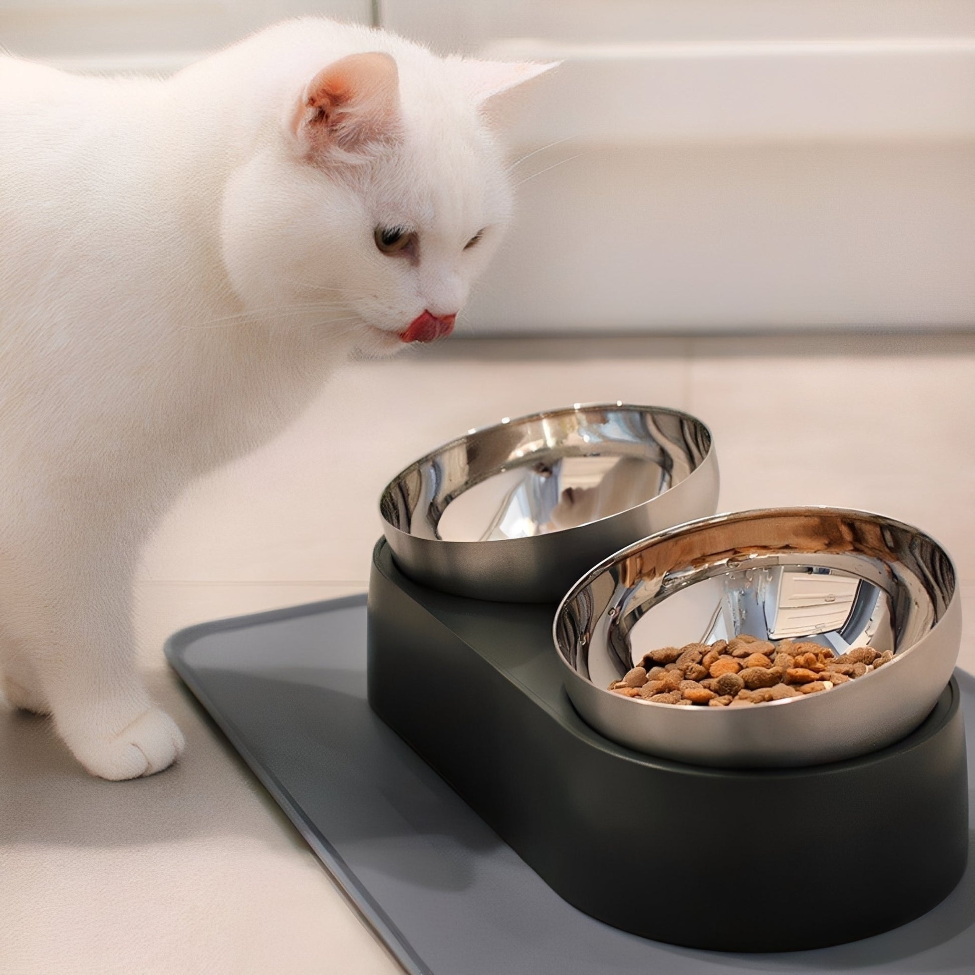 Bowlux - Katten Verhoogde Voerbak RVS - Mivero