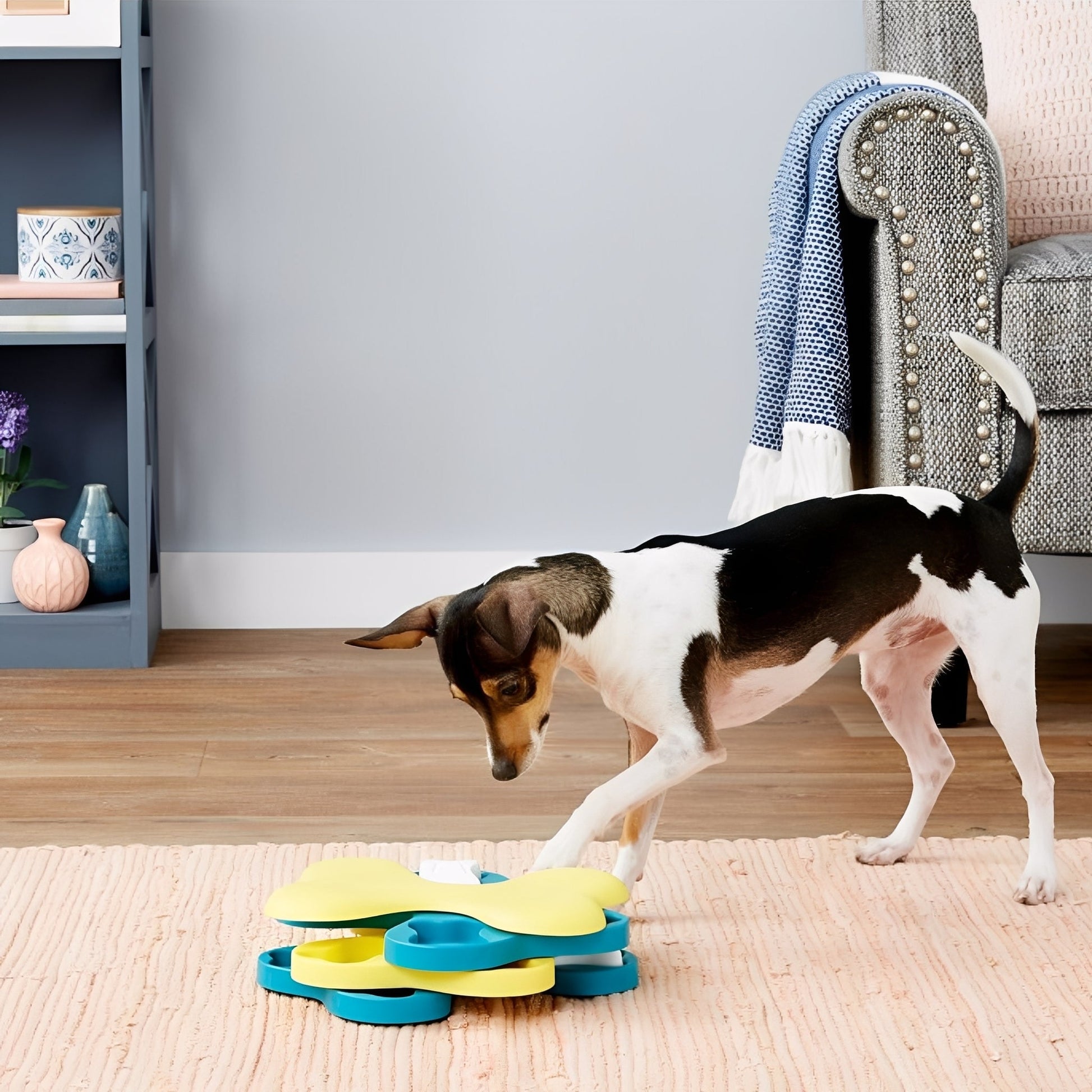 BrainBowl - Draaischijven Voerpuzzel Hondenspeeltje - Mivero