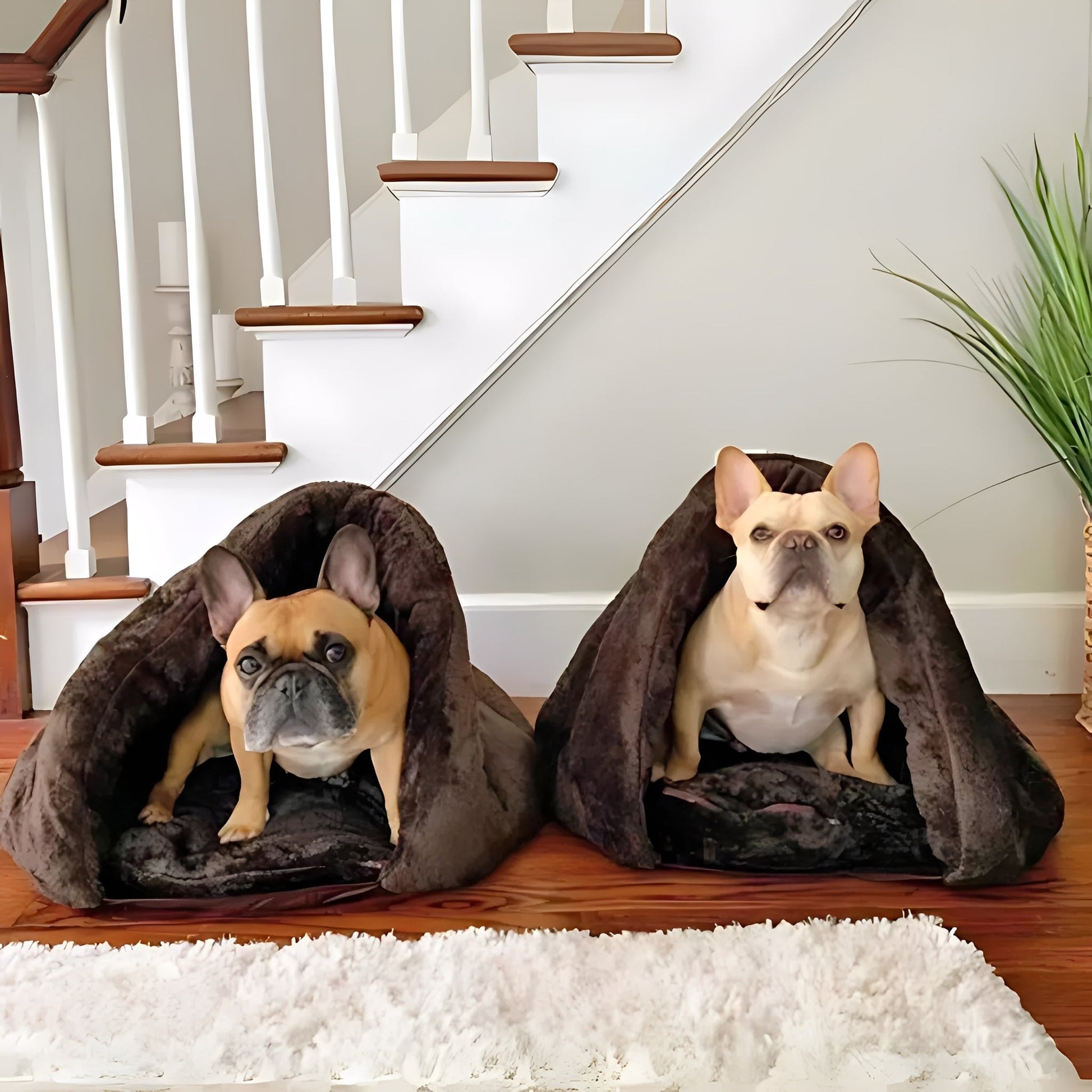 BurrowBed - Pluche Knus Hondenbed - Mivero