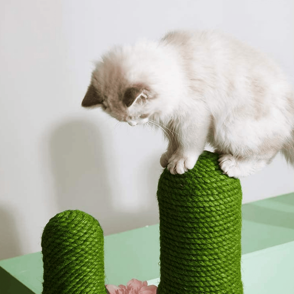 Cactopia - Speels Cactusvormig Krabmeubel - Mivero