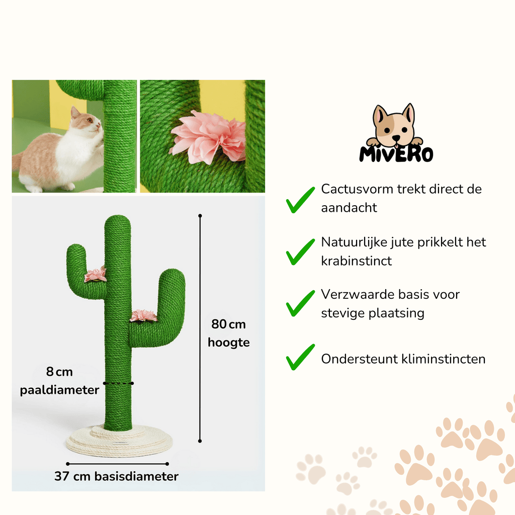 Cactopia - Speels Cactusvormig Krabmeubel - Mivero