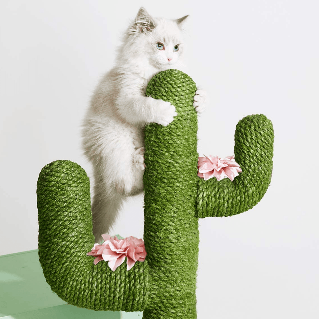 Cactopia - Speels Cactusvormig Krabmeubel - Mivero