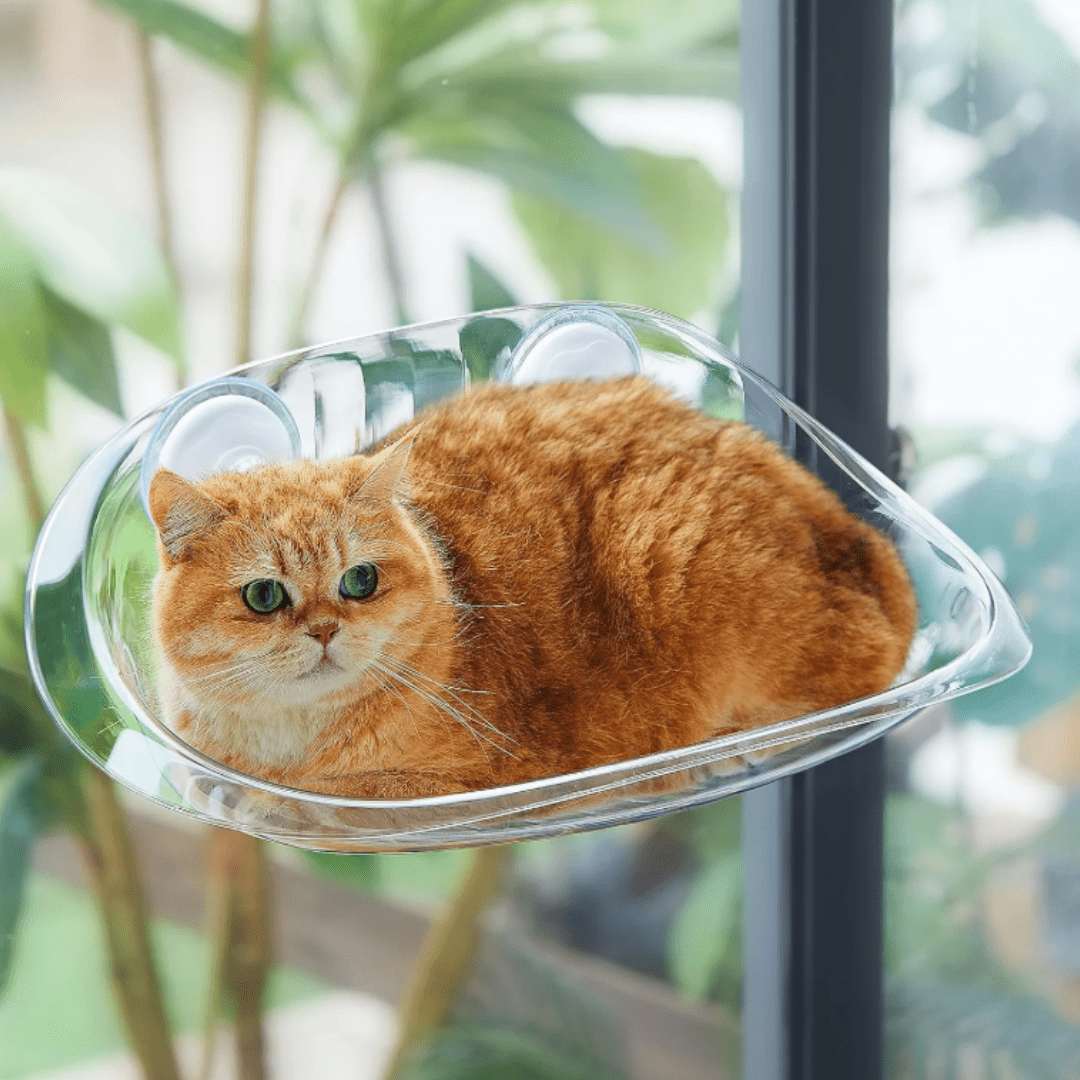 CatCradle - Zonder Koorden Kattenhangmat - Mivero