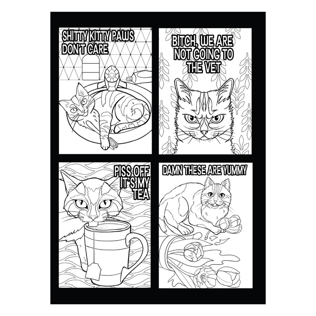 Cattitude Deel 2 – Het Hilarische Kattenkleurboek - Mivero