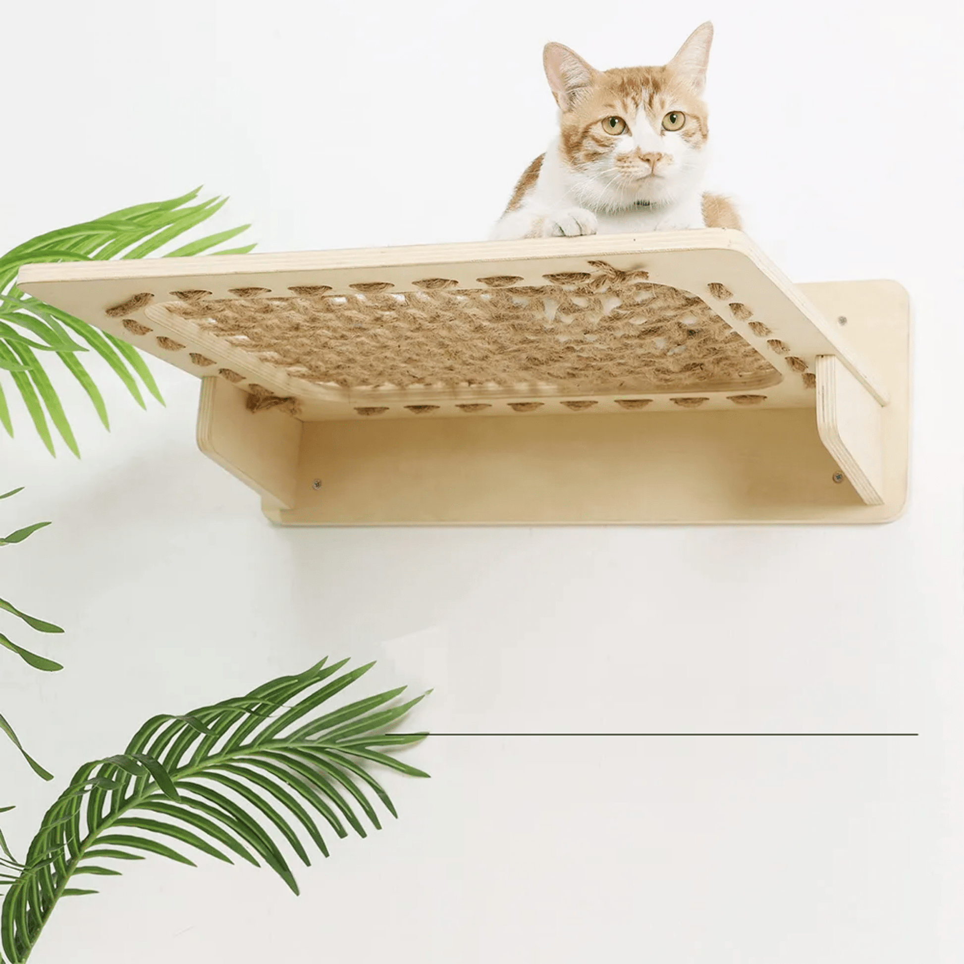 CatZen - Stabiele Wandplank Kat - Mivero