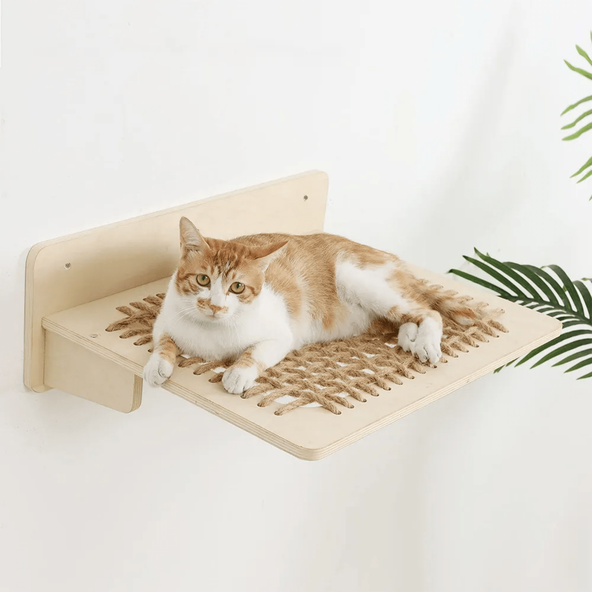 CatZen - Stabiele Wandplank Kat - Mivero