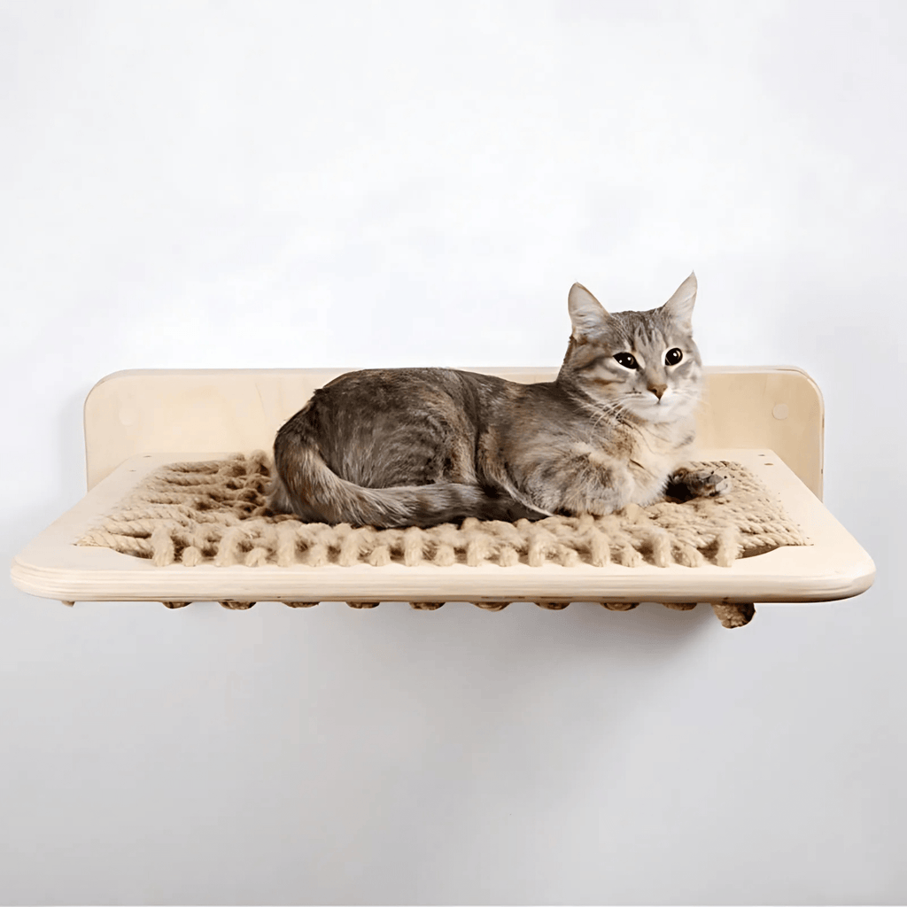 CatZen - Stabiele Wandplank Kat - Mivero