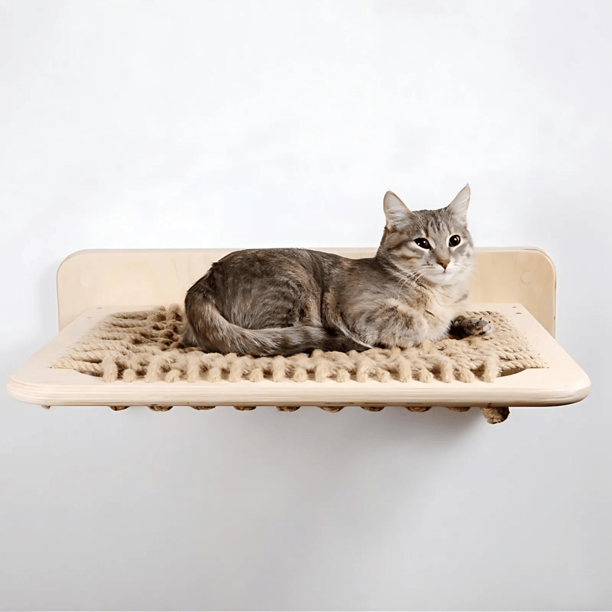 CatZen - Stabiele Wandplank Kat - Mivero