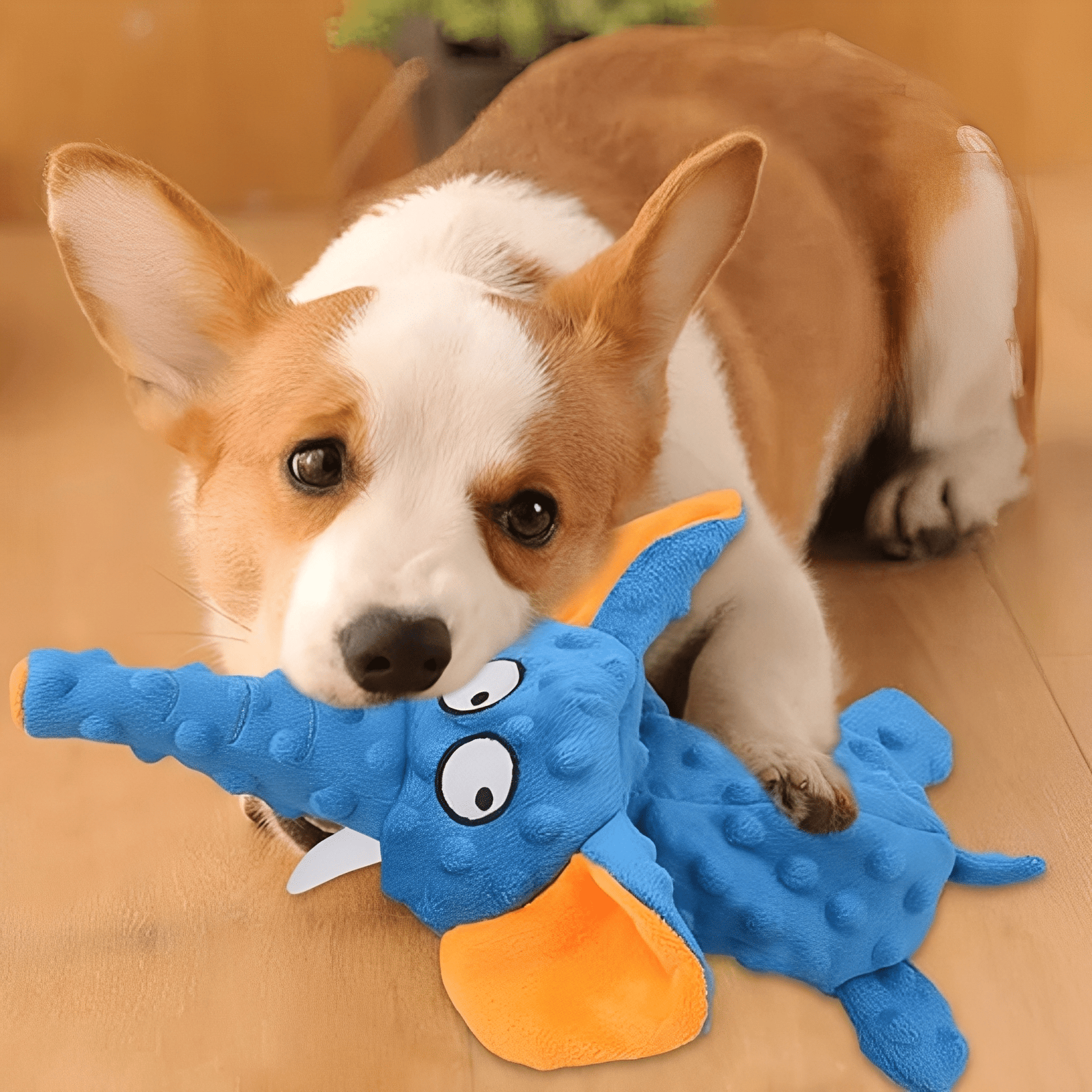 ChewBuddy - Kauwbestendig Knuffelspeeltje Hond - Mivero