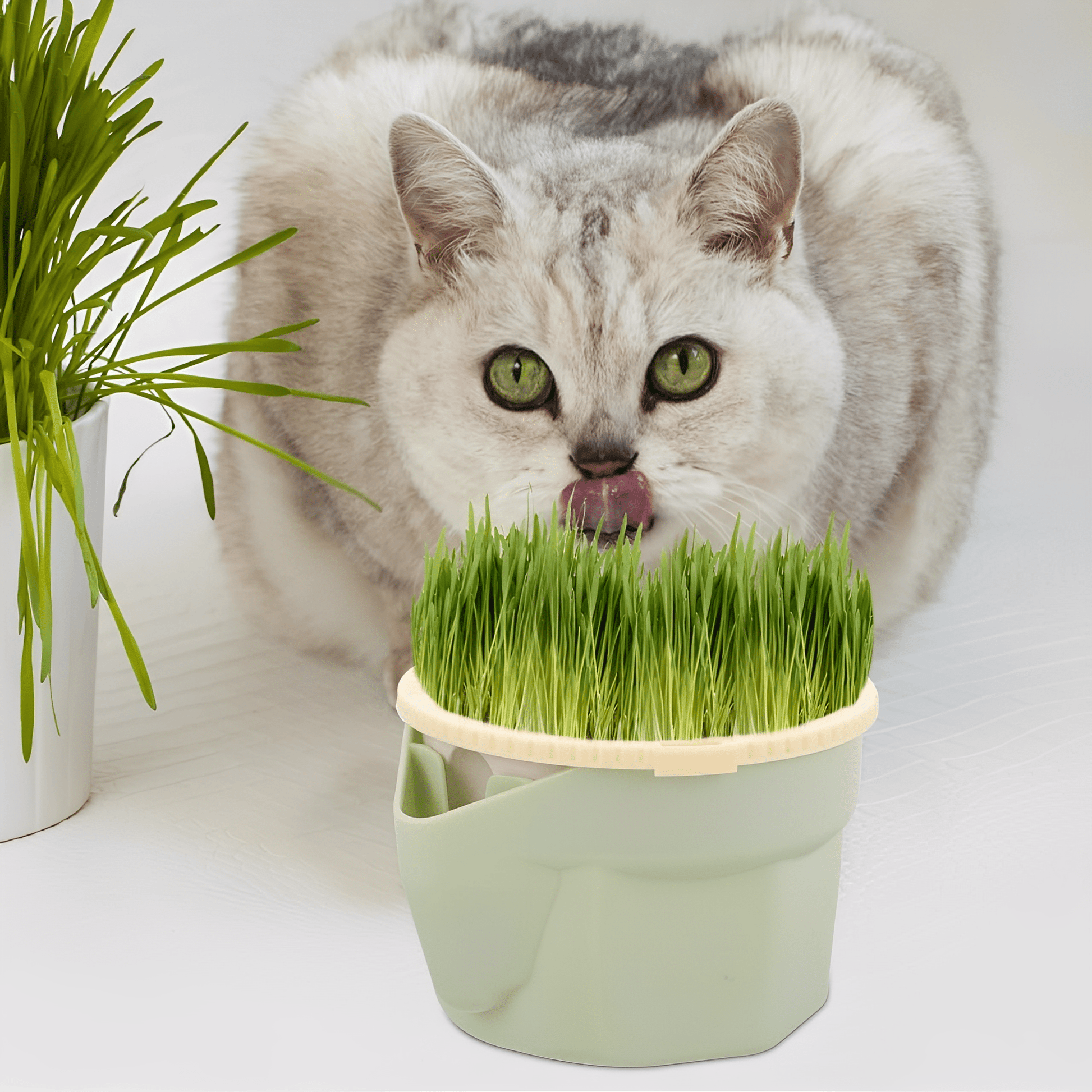Chewfresh - Herbruikbare Kattenkruid Kweekbeker - Mivero