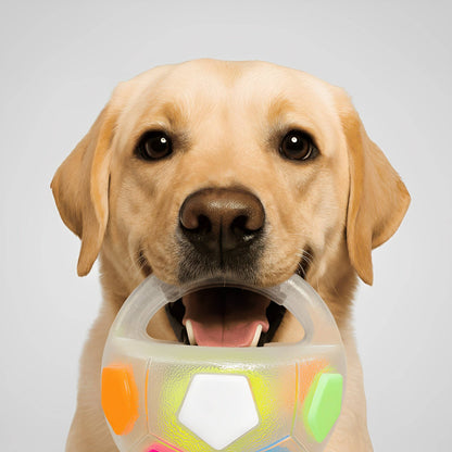 ChewMate - Honden Speelbal Anti Stress met Pieper - Mivero