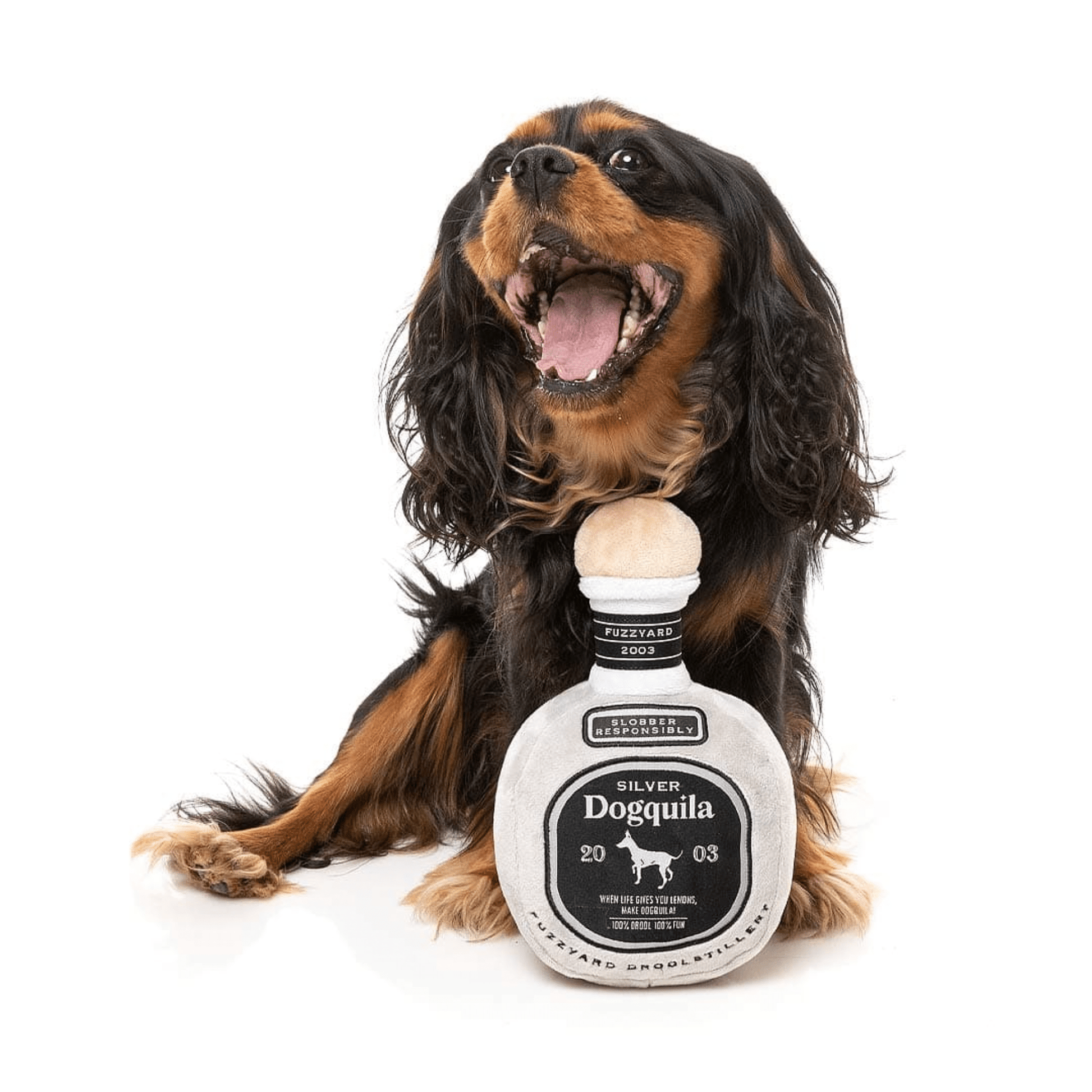 Chewtique - Hondenspeelgoed van pluche met pieper - Mivero