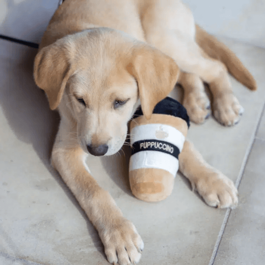 Chewtique - Hondenspeelgoed van pluche met pieper - Mivero