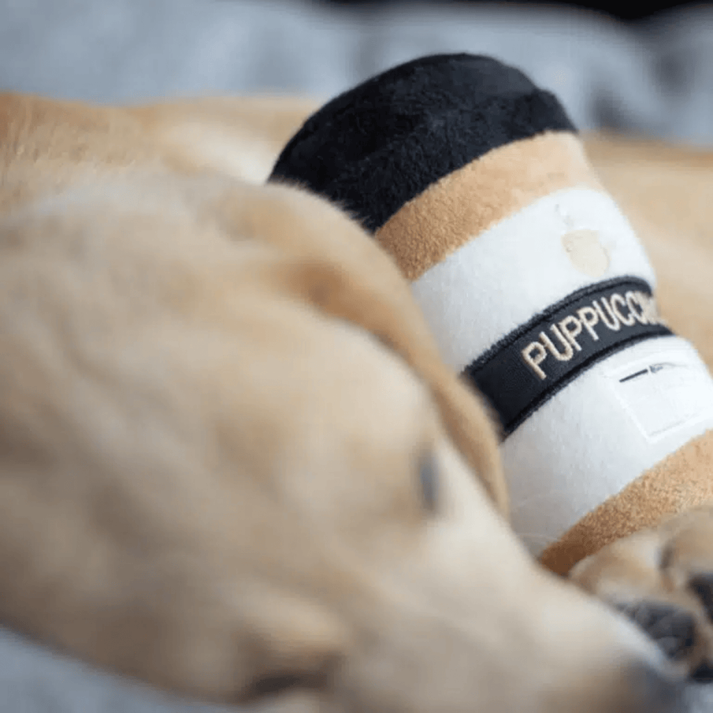 Chewtique - Hondenspeelgoed van pluche met pieper - Mivero