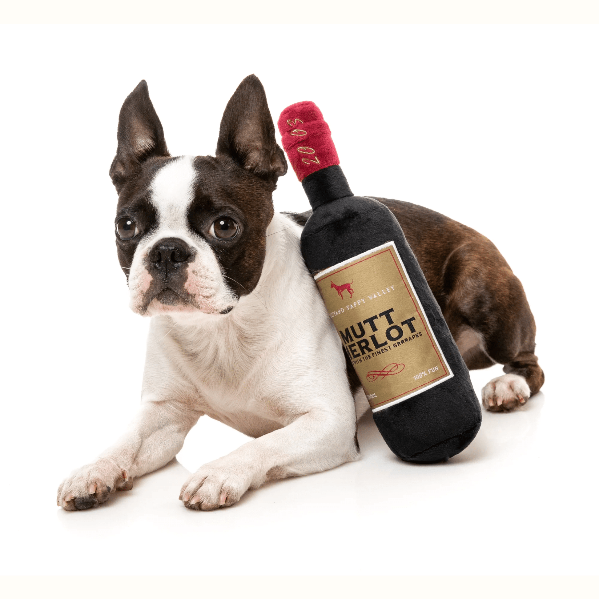 Chewtique - Hondenspeelgoed van pluche met pieper - Mivero