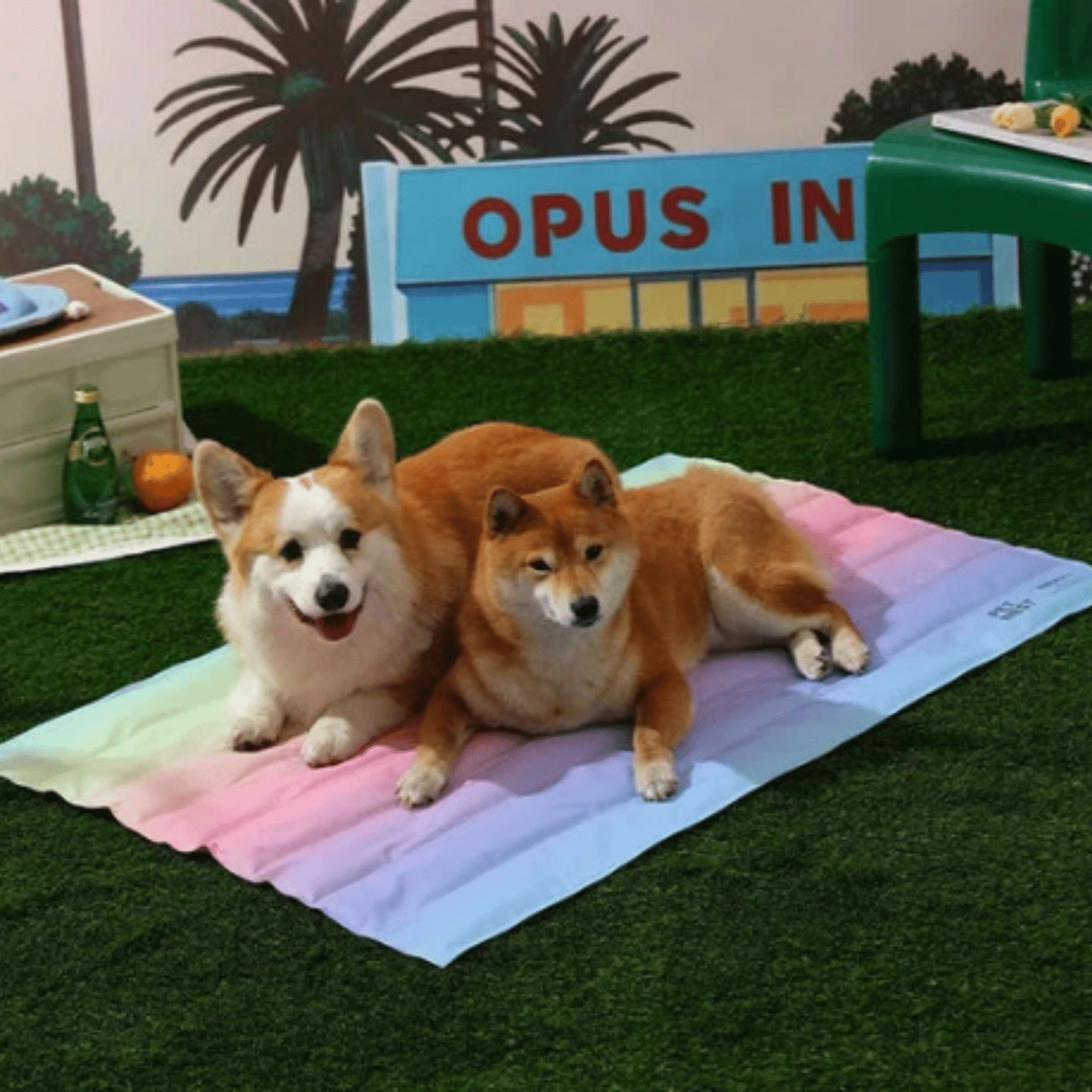 Chillow - Verkoelend Ademend Huisdierenbed - Mivero