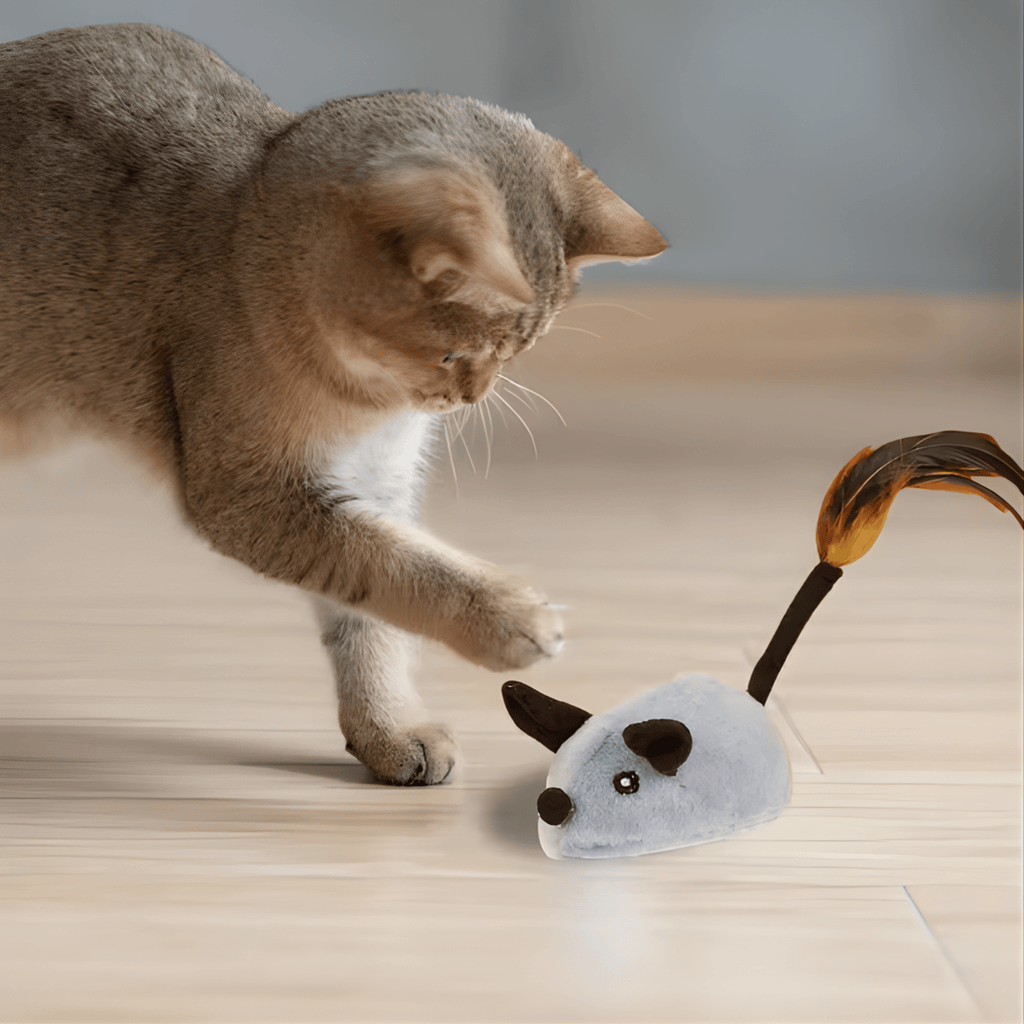 Chirpster - Kattenspeelgoed Muis met Veer Interactief - Mivero