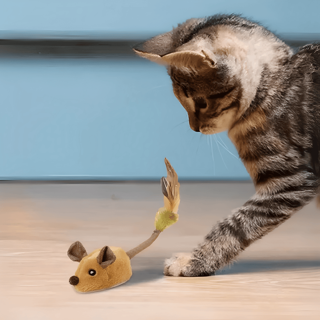 Chirpster - Kattenspeelgoed Muis met Veer Interactief - Mivero
